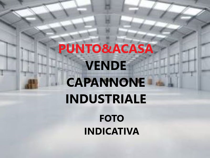 caricamento in corso