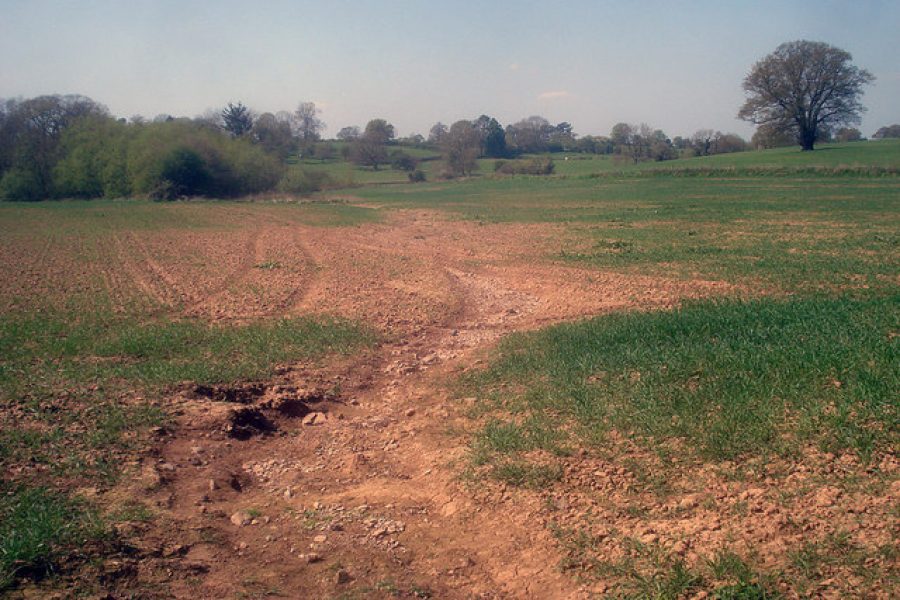 caricamento in corso